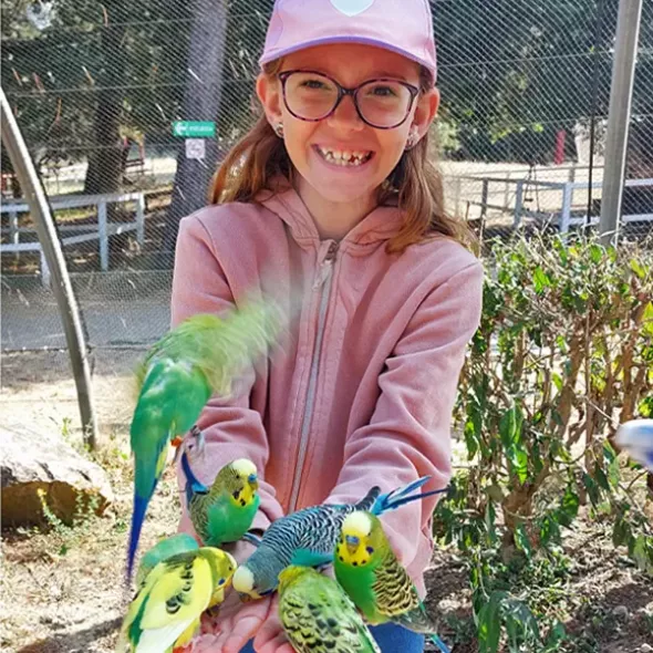 Activité Petit Soigneur - devenez soigneur animalier au Parc Australien